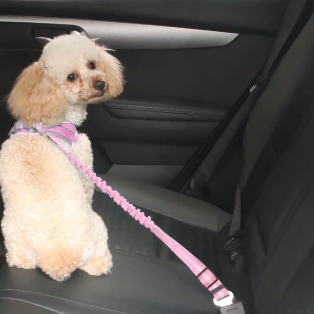 SALE!! Seat belt, Dog harness, leash, bungee cord seat belt.